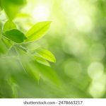 我年轻漂亮的继坶4 091yeoe