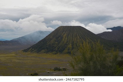 免费毛毛片AA级 免费毛毛片AA级