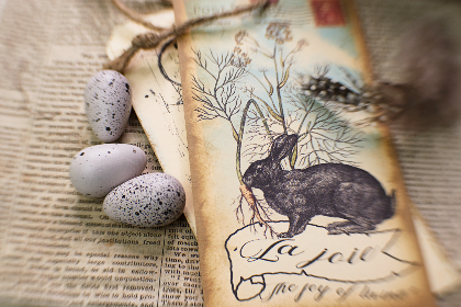 无码黄动漫在线观看 无码黄动漫在线观看