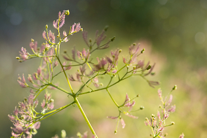 日本AV在线不卡波多野结衣 日本AV在线不卡波多野结衣