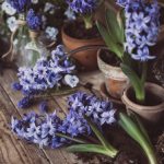 日本JAPANESE小便 m681f