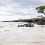 暖暖视频日本在线观看免费HD rdbb22h6l