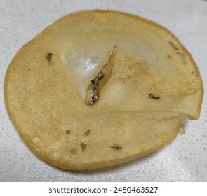 国内免费看剧网站：畅享热门影视剧的最佳选择与推荐